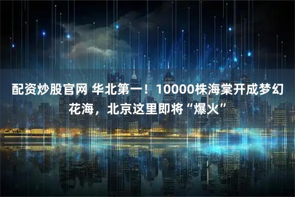 配资炒股官网 华北第一！10000株海棠开成梦幻花海，北京这里即将“爆火”